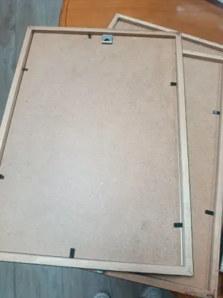 Láminas botánicas enmarcadas (Set de 6)