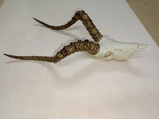 Servicio de Impresión 3D y Prototipado Rápido