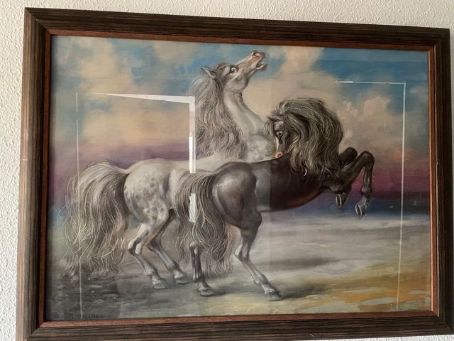 Cuadro de caballos enmarcado