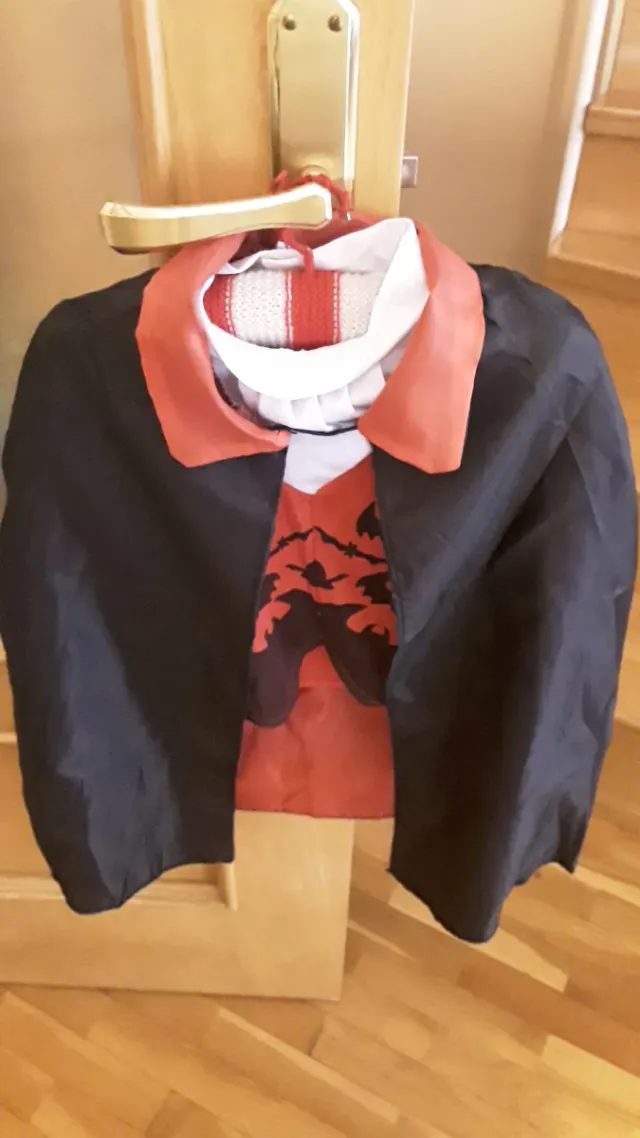 Disfraz infantil murciélago Halloween