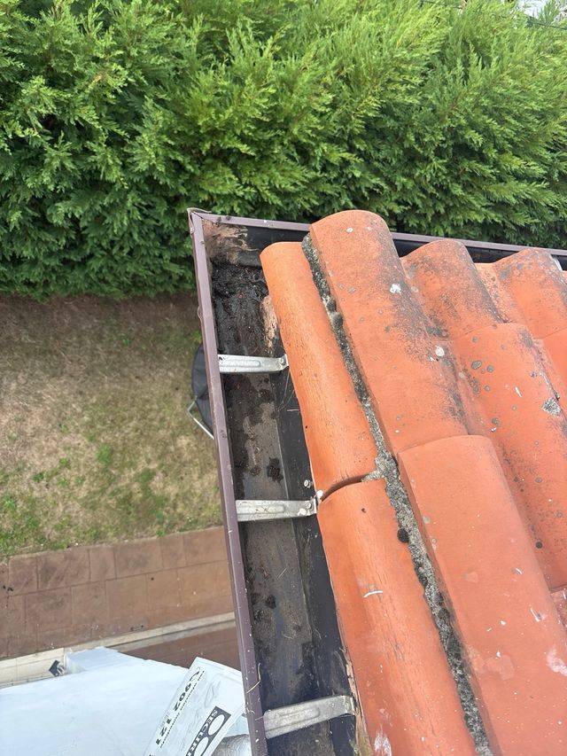 limpieza de tejados y canalones