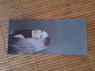 Cepillo Secador y Moldeador