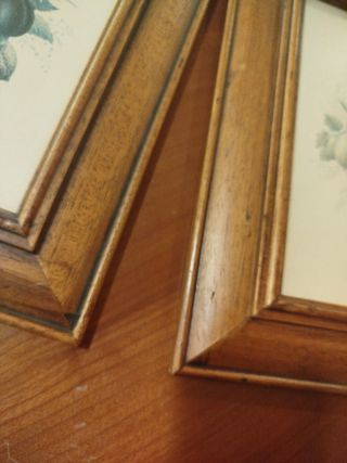 Coppia Quadretti Frutta Cornice Legno