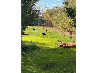 Terreno en venta en Carmona