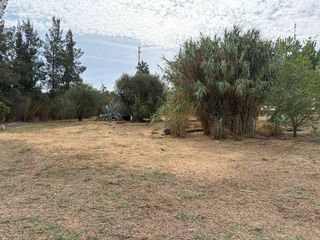 Terreno en venta en Carmona