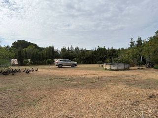 Terreno en venta en Carmona