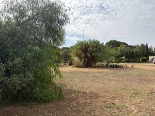 Terreno en venta en Carmona