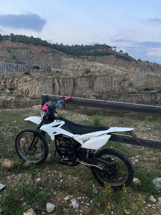 Beta RR 50 2017 leer