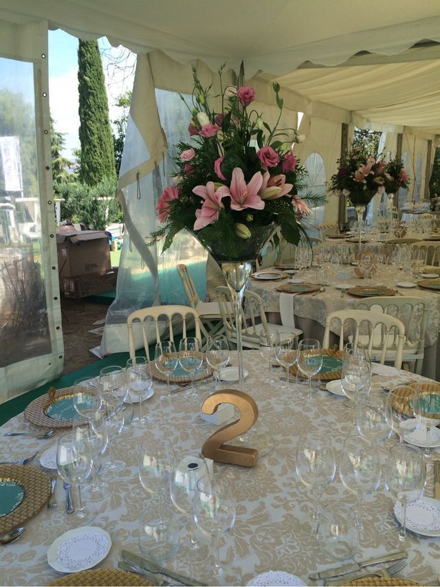 Coppa gigante in vetro Martini