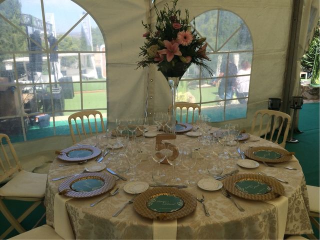 Coppa gigante in vetro Martini