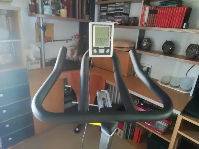 Bicicleta Spinning BH Profesional