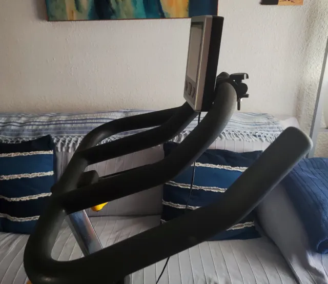 Bicicleta Spinning BH Profesional