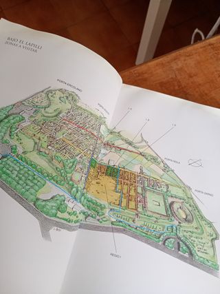 Bajo el lapilli estudios sobre la Regio 1. de P...