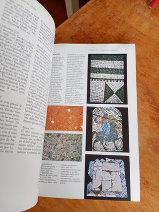 Bajo el lapilli estudios sobre la Regio 1. de P...