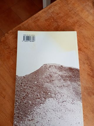 Bajo el lapilli estudios sobre la Regio 1. de P...