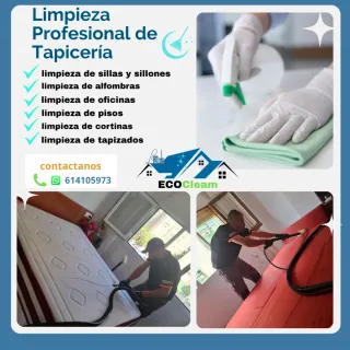 Limpieza y desinfección de tapicería