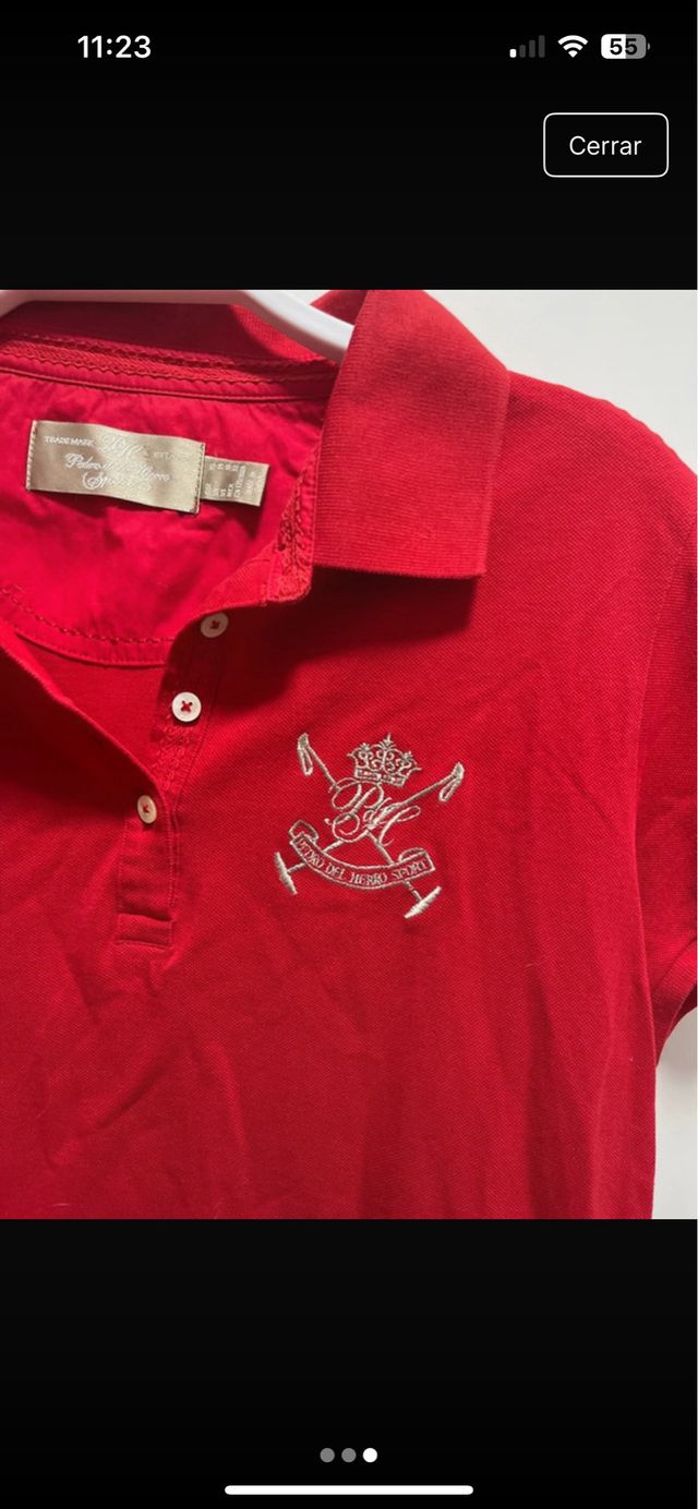 Polo Pedro del Hierro