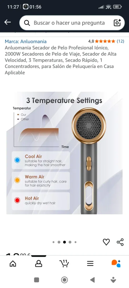 Secador de pelo profesional iónico Anluomania