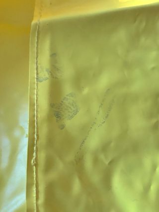 Chubasquero Lesly Famosa