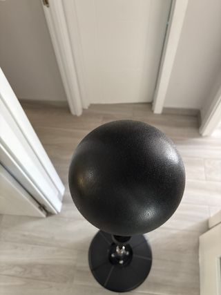 Saco de boxeo profesional