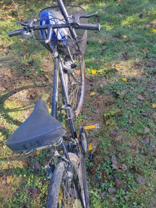 Bicicleta Montaña Adulto Negra