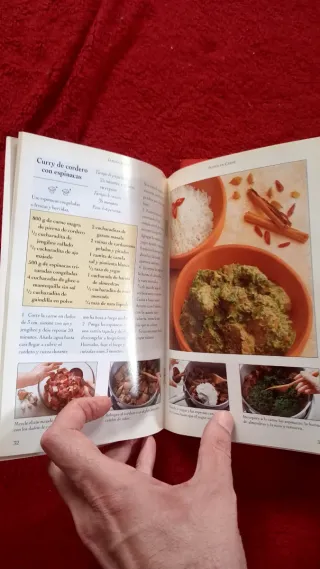 Lote 4 libros de cocina Anne Wilson - Ed. Könemann