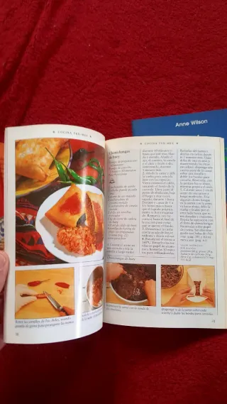 Lote 4 libros de cocina Anne Wilson - Ed. Könemann