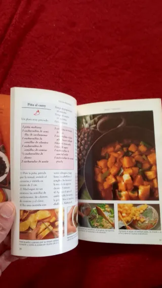 Lote 4 libros de cocina Anne Wilson - Ed. Könemann