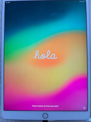 iPad Pro 10.5 256 GB Wi-Fi + 4G A1709 con caja