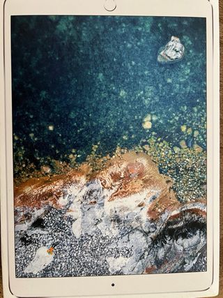 iPad Pro 10.5 256 GB Wi-Fi + 4G A1709 con caja