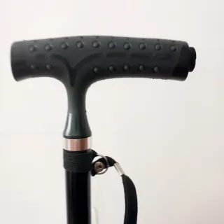 Bastone da passeggio nuovo