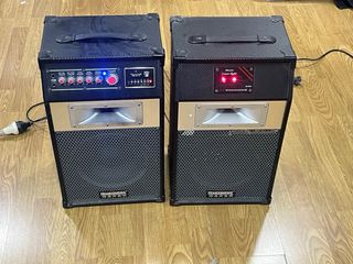2 Altavoces Vintage TEMEISHENG Negros/Dorados