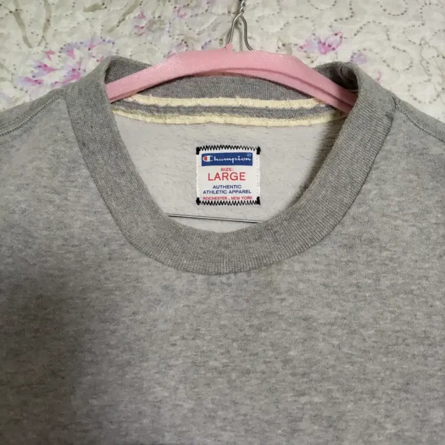 Felpa Champion Grigia