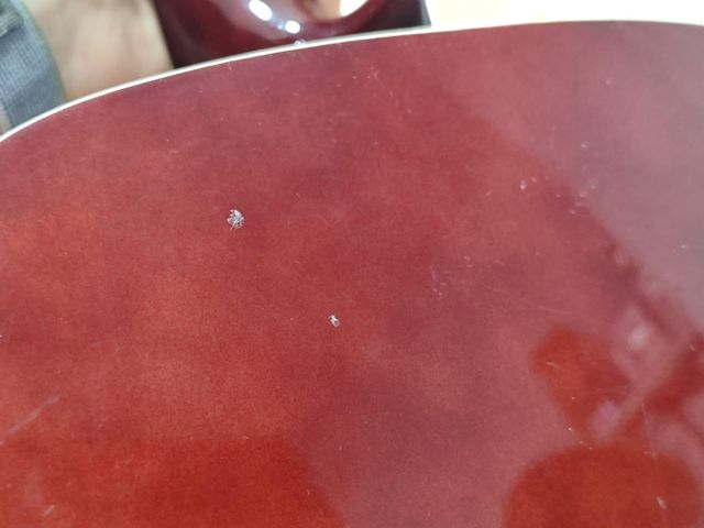 DAYTONA A411 NA GUITARRA ACÚSTICA