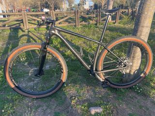 Specialized 29 HT talla M 