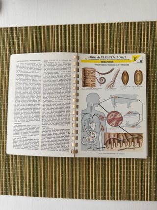 Atlas de parasitologia