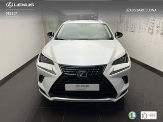 Lexus NX300h PREMIUM 2021 REF 7544