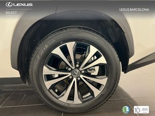 Lexus NX300h PREMIUM 2021 REF 7544
