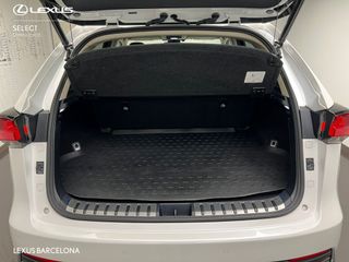 Lexus NX300h PREMIUM 2021 REF 7544