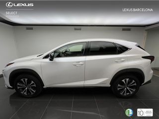 Lexus NX300h PREMIUM 2021 REF 7544