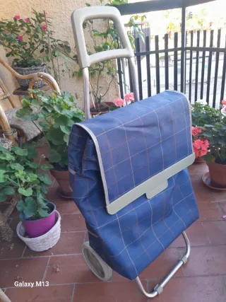 Carro de la compra azul a cuadros