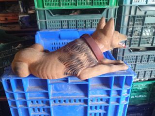 Perro balancín cabeza