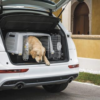 Transportín GULLIVER XXL 80x62x60cm