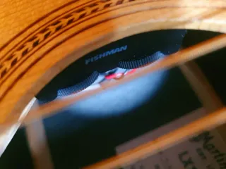 Martin & Co Little Traveler Viajera Acustic Guitar