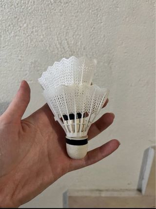 Raquetas de bádminton con funda y volantes