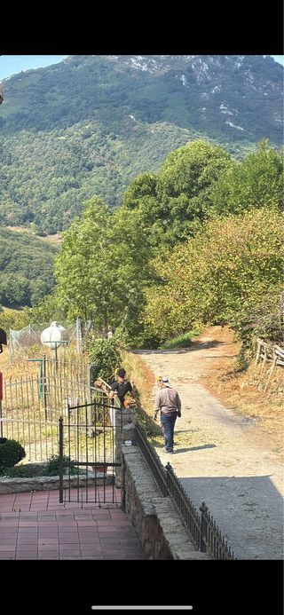 desbroce y limpieza de fincas