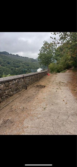 desbroce y limpieza de fincas