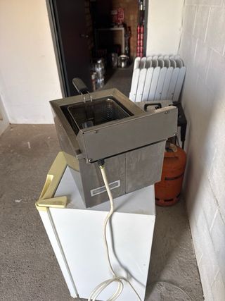 Freidora Profesional 8L