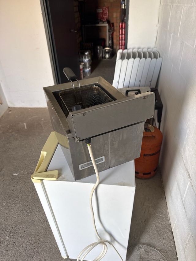 Freidora Profesional 8L