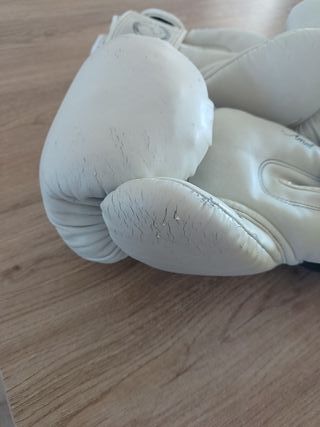 Guantes de boxeo Shark blancos